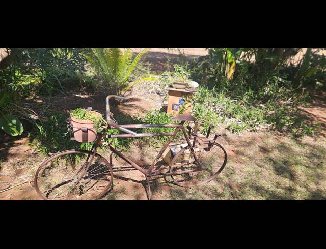 200HA FARM FOR SALE IN PRIMINDIA